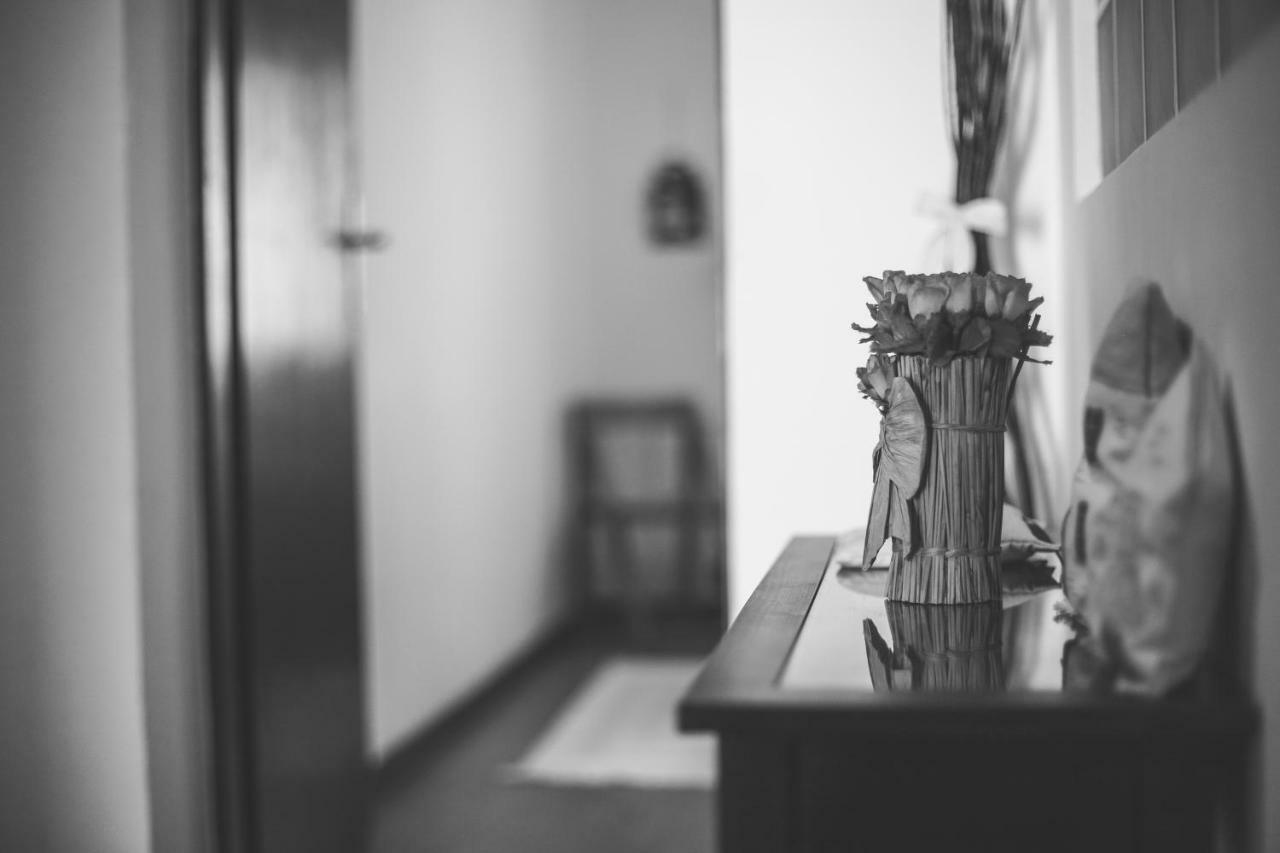 Apartments Gogsy مالينسكا المظهر الخارجي الصورة